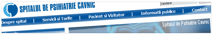 Psychiatric Hospital from Cavnic | Web Design