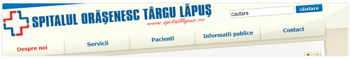 Targu Lapus Town's Hospital | Web Design